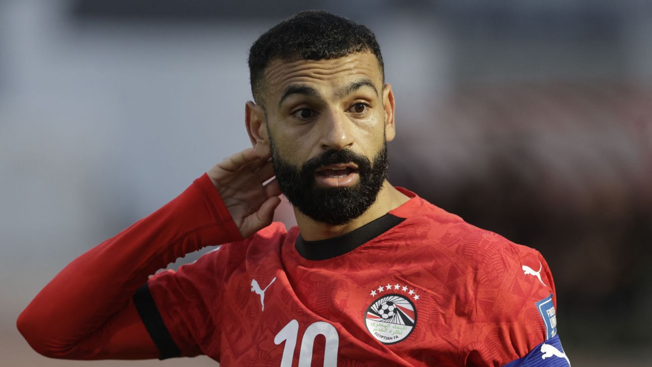 FIFA要求埃及世界杯球衣去掉七颗星 白色号码也已调整